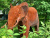 Скульптура Слон/Elephant Скульптура Слон/Elephant